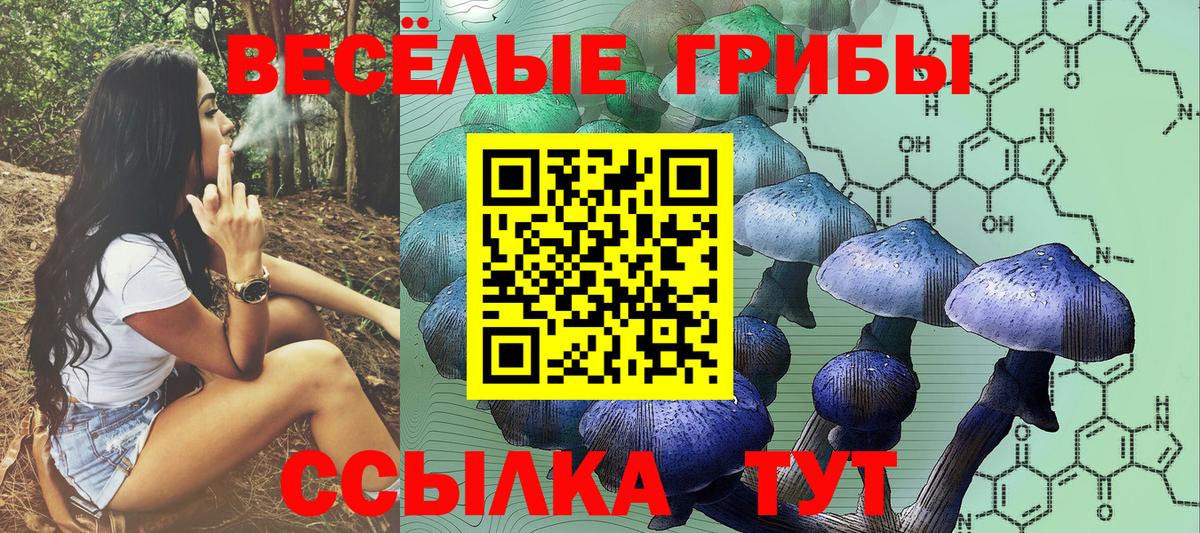 Северобайкальск  Псилоцибиновые грибы GOLDEN TEACHER  Галлюциногенные грибы мицелий  Вход с VPN 